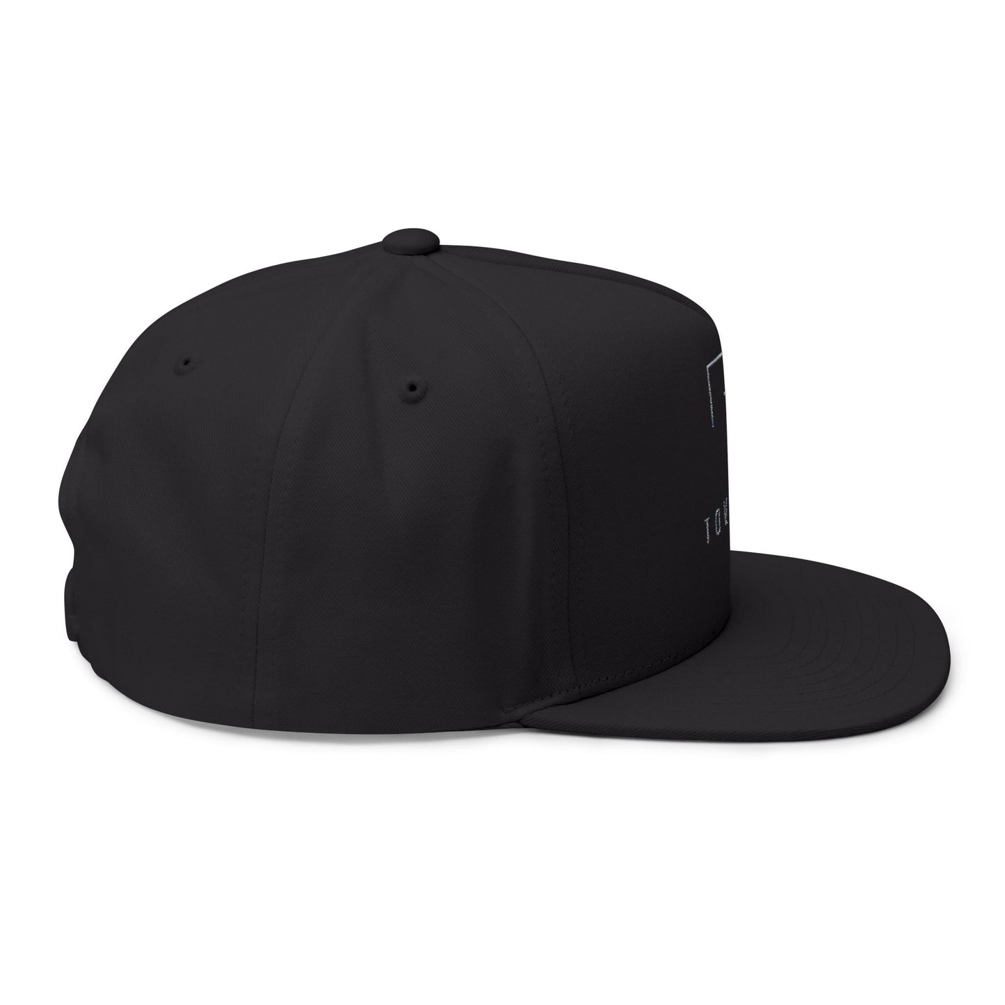 Tovolea Black Flat Bill Cap