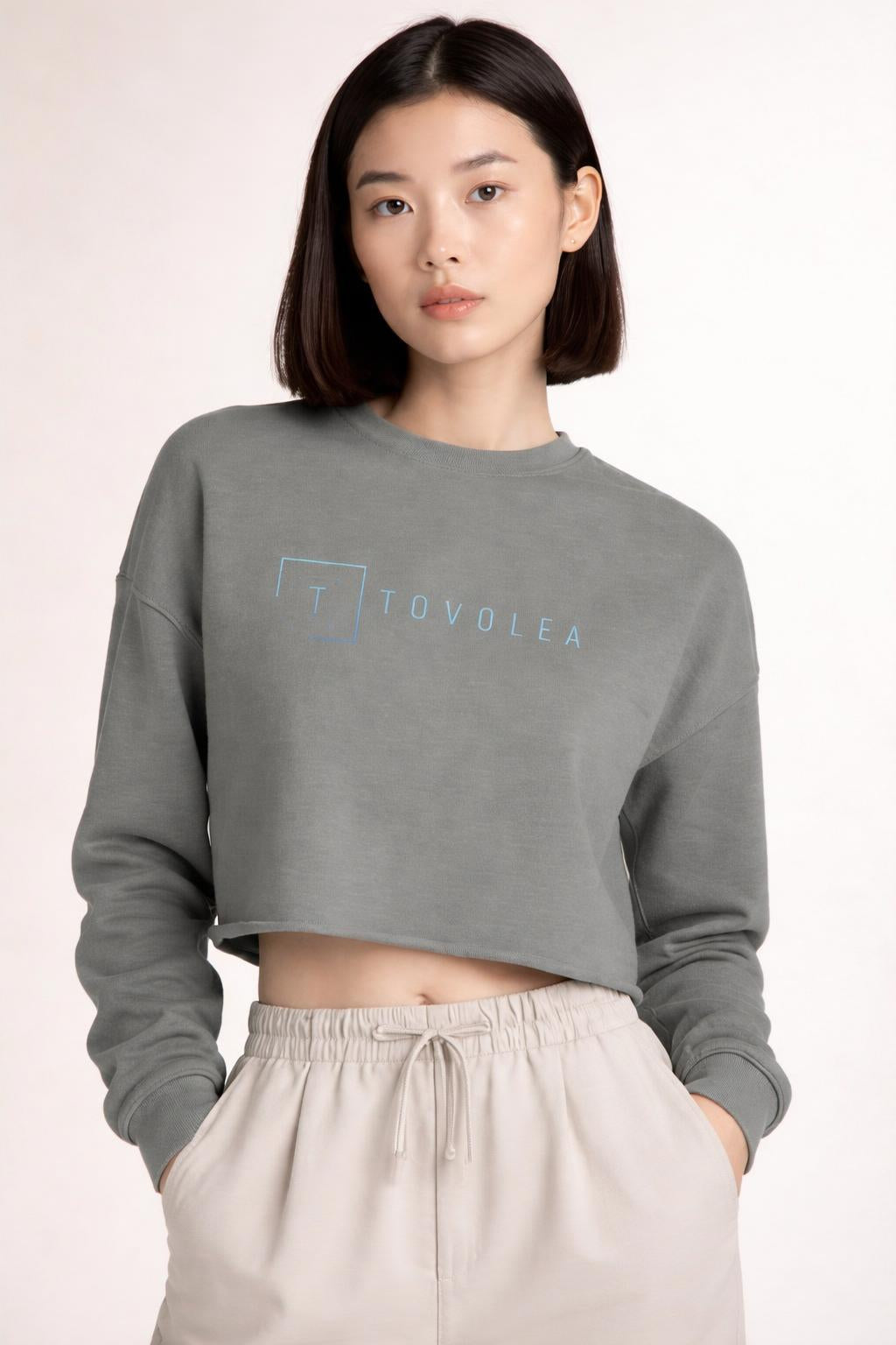 Ash Cropped Sweatshirt